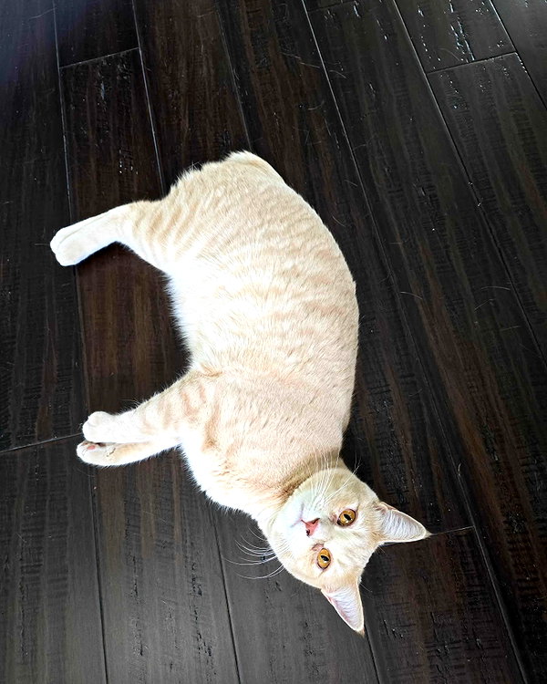 emiru.jpg instagram image archive image