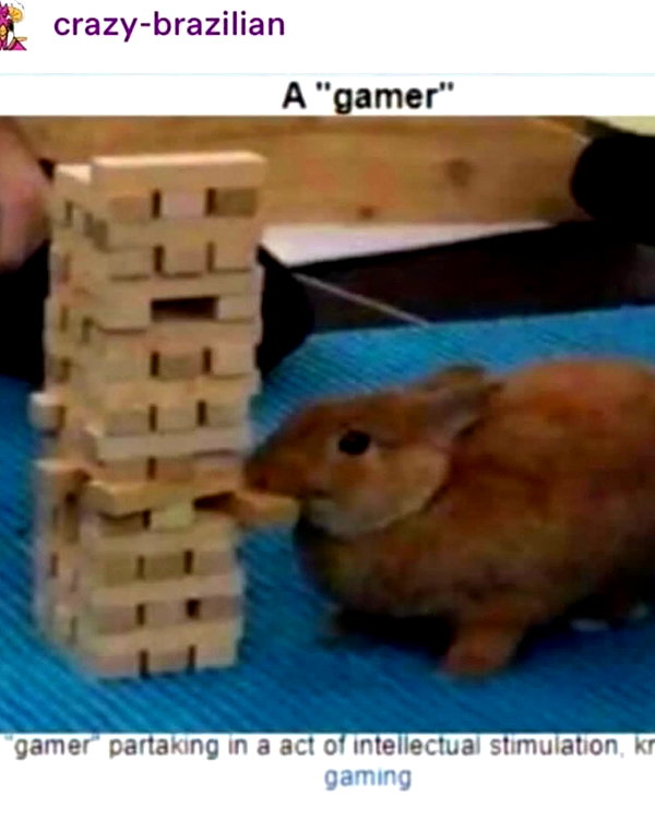 emiru.jpg instagram image archive image