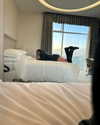 emma.naor Altpins Profile Picture