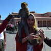 emmarose_xoxoxo Altpins Profile Picture