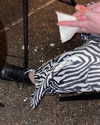 emmarose_xoxoxo Altpins Profile Picture