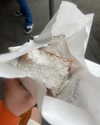 emmarose_xoxoxo Altpins Profile Picture