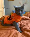 emmarose_xoxoxo Altpins Profile Picture
