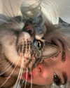 emmasmyspace Altpins Profile Picture