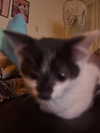 emmasmyspace Altpins Profile Picture