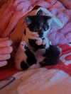 emmasmyspace Altpins Profile Picture