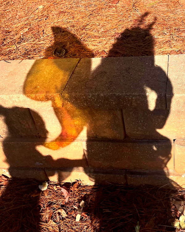 emmiencollins instagram image archive image