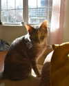 emmiencollins Altpins Profile Picture