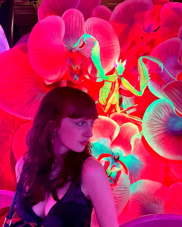 emmiencollins instagram image archive image