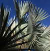 emmmarshalll Altpins Profile Picture