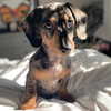 emmmarshalll Altpins Profile Picture