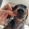emmmarshalll Altpins Profile Picture