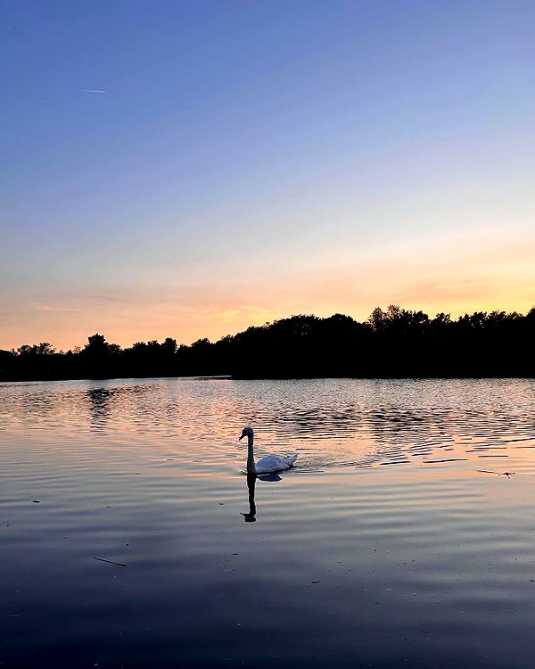 emmmarshalll instagram image archive image