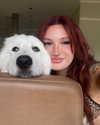 emmmarshalll Altpins Profile Picture