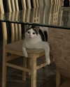 emmmarshalll Altpins Profile Picture