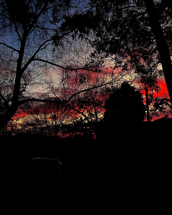 emmmarshalll instagram image archive image