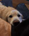 emmmarshalll Altpins Profile Picture