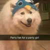 emobxtch420 Altpins Profile Picture