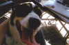 emobxtch420 Altpins Profile Picture