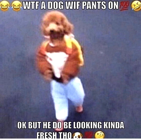 emobxtch420 instagram image archive image
