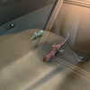 emobxtch420 Altpins Profile Picture