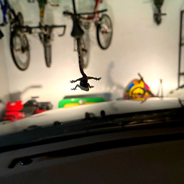 emobxtch420 instagram image archive image