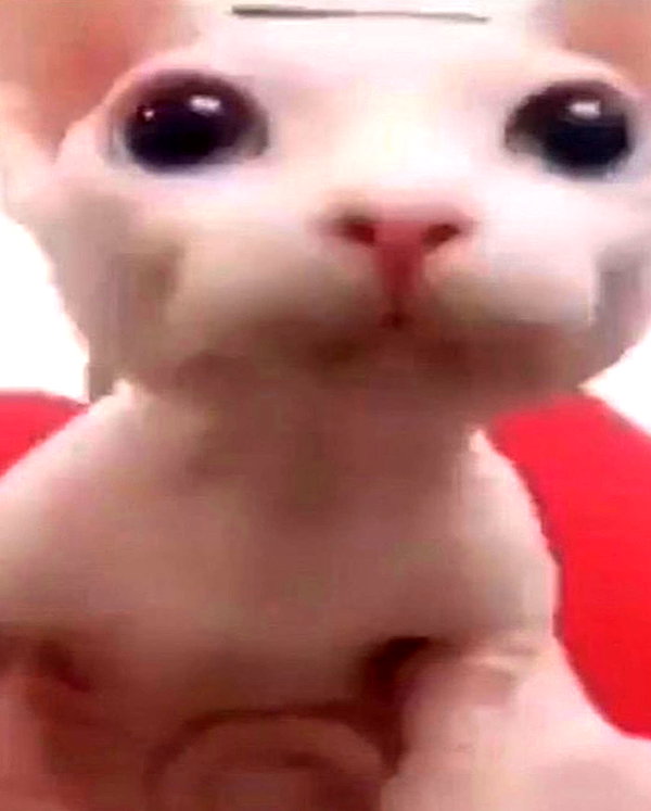 emobxtch420 instagram image archive image