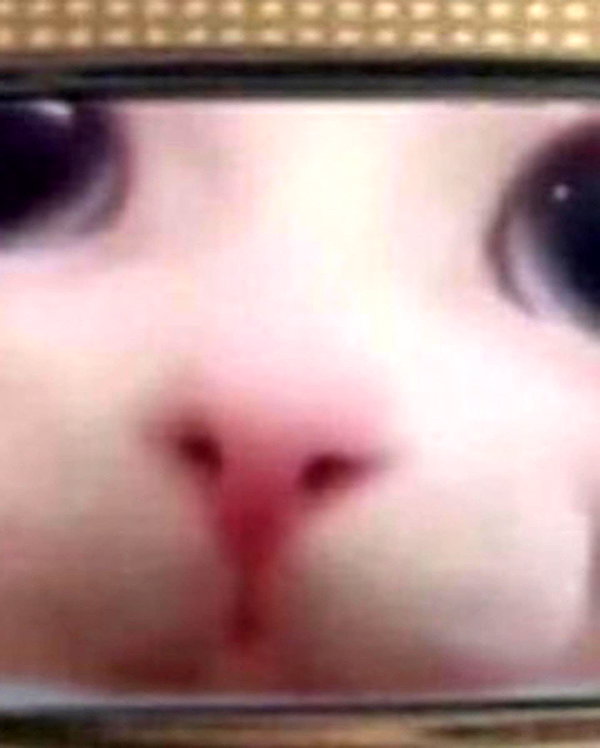 emobxtch420 instagram image archive image
