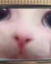 emobxtch420 Altpins Profile Picture