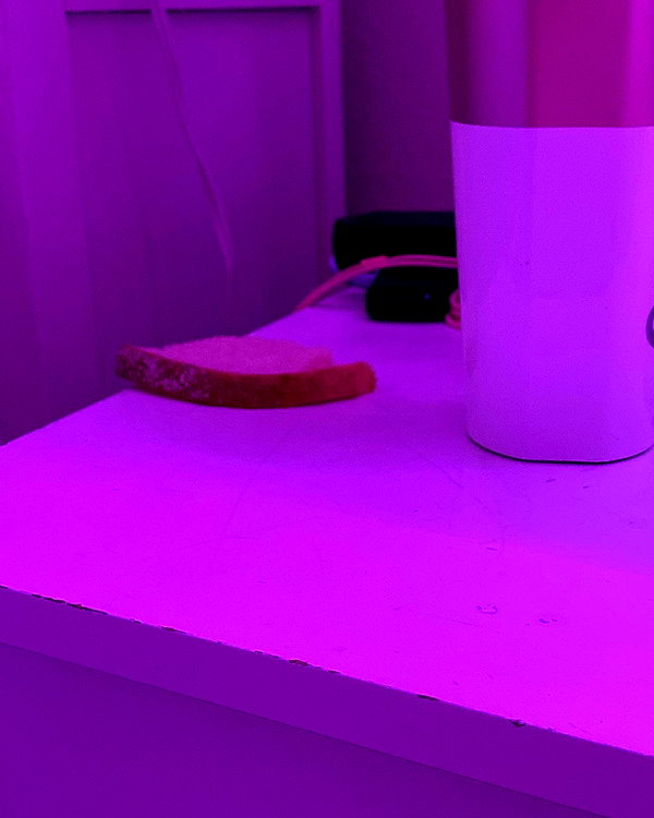 emobxtch420 instagram image archive image
