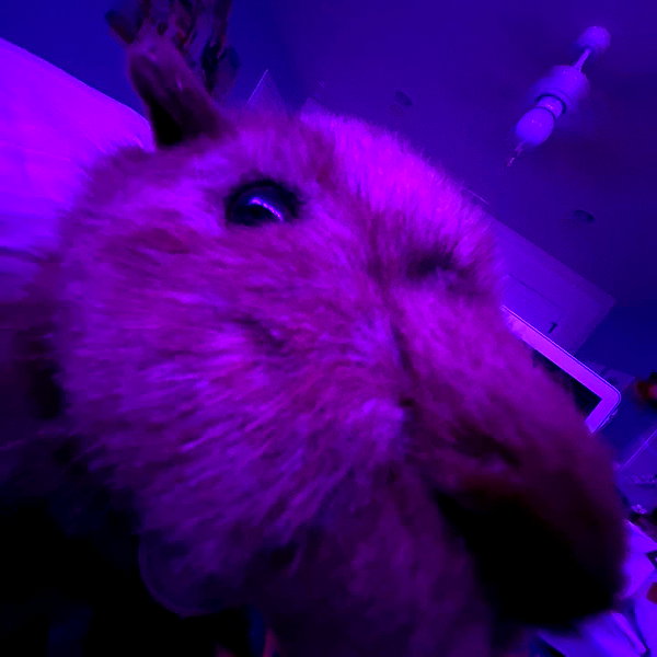 emobxtch420 instagram image archive image