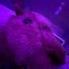 emobxtch420 Altpins Profile Picture