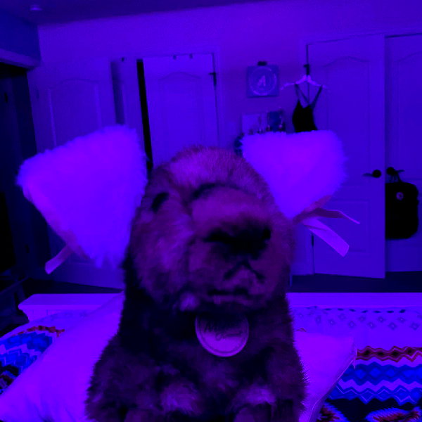 emobxtch420 instagram image archive image