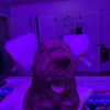 emobxtch420 Altpins Profile Picture