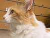 emobxtch420 Altpins Profile Picture