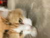 emobxtch420 Altpins Profile Picture