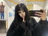 emowithoutemo3 Altpins Profile Picture