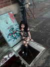 emowithoutemo3 Altpins Profile Picture