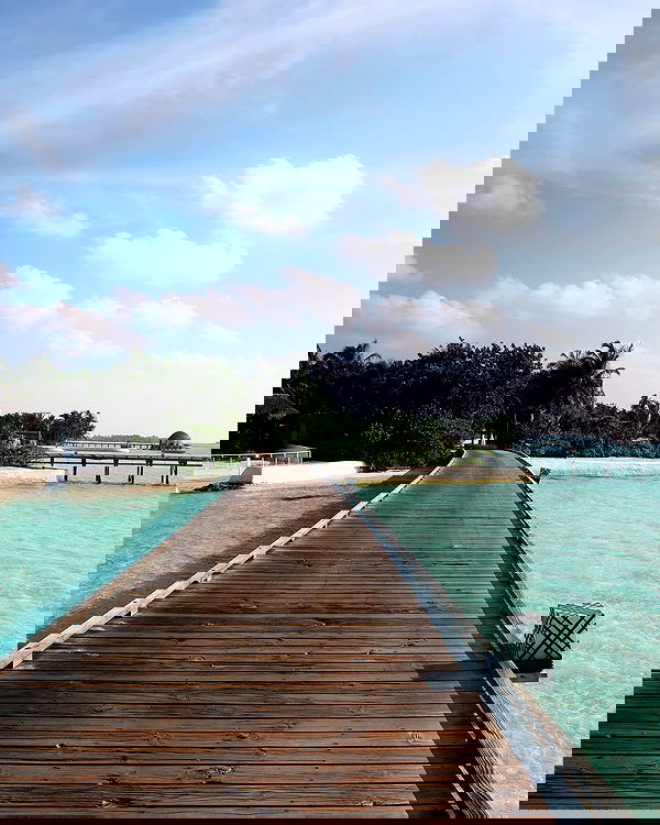 emxllouise2 image ~ Altpins