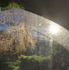 enngravedheart Altpins Profile Picture