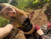 enngravedheart Altpins Profile Picture