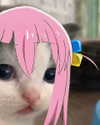 epppuni Altpins Profile Picture