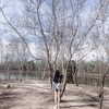esmenguyennn Altpins Profile Picture