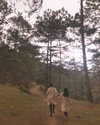 esmenguyennn Altpins Profile Picture