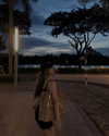 esmenguyennn Altpins Profile Picture