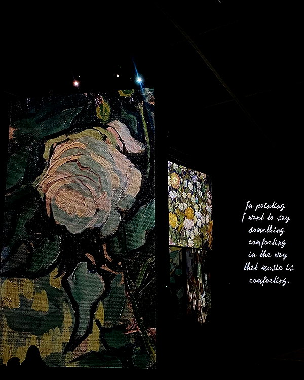 estr3iia instagram image archive image