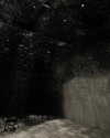 estr3iia Altpins Profile Picture