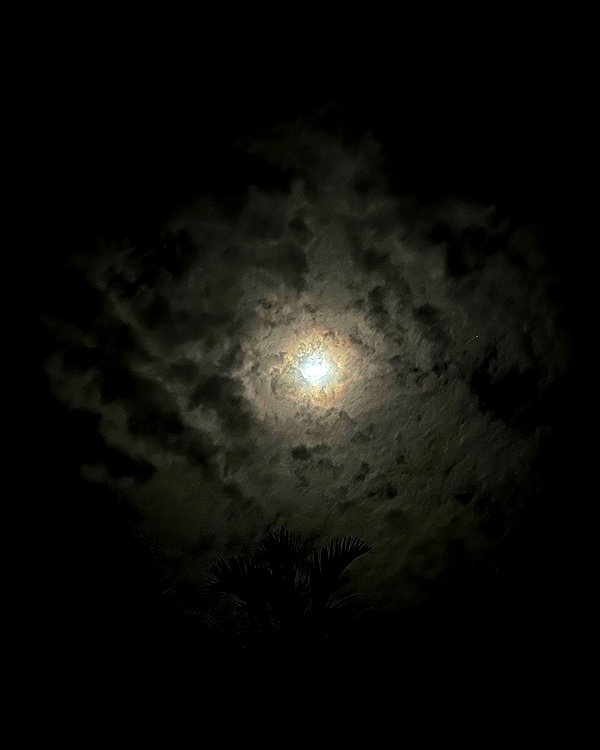 estr3iia instagram image archive image