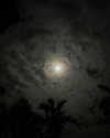 estr3iia Altpins Profile Picture