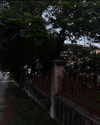 estr3iia Altpins Profile Picture